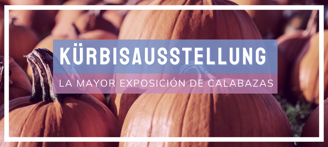 Kürbisausstellung, la mayor exposición de calabazas