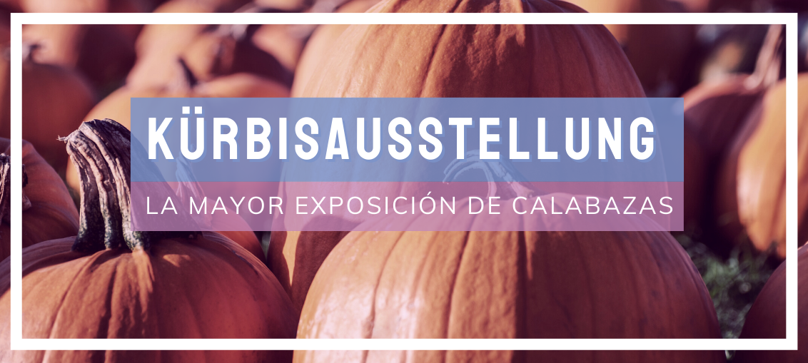Kürbisausstellung, la mayor exposición de calabazas